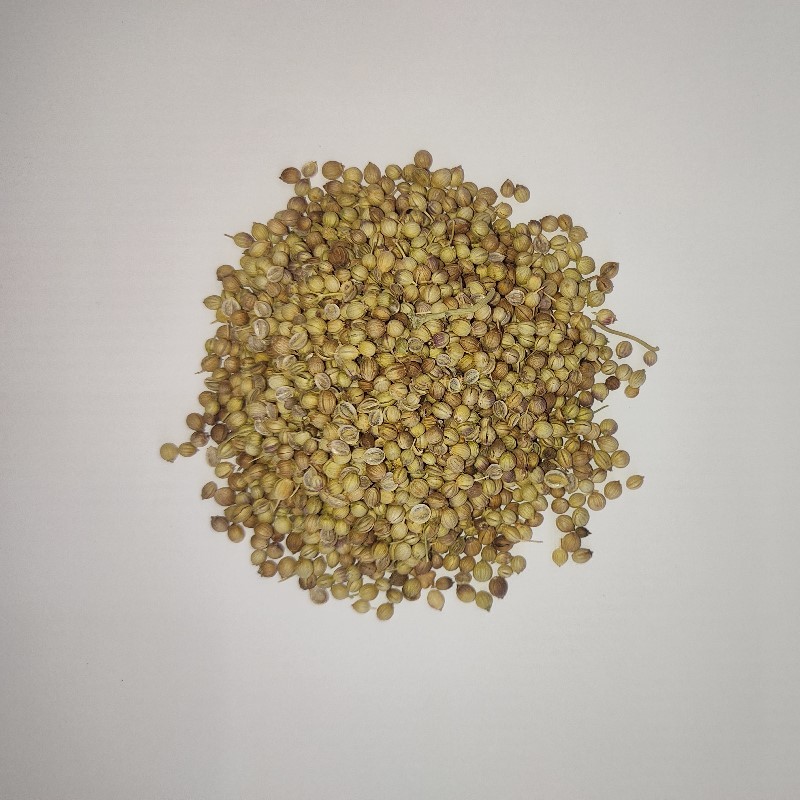 Khushk dhania Sabut (Coriander Whole)