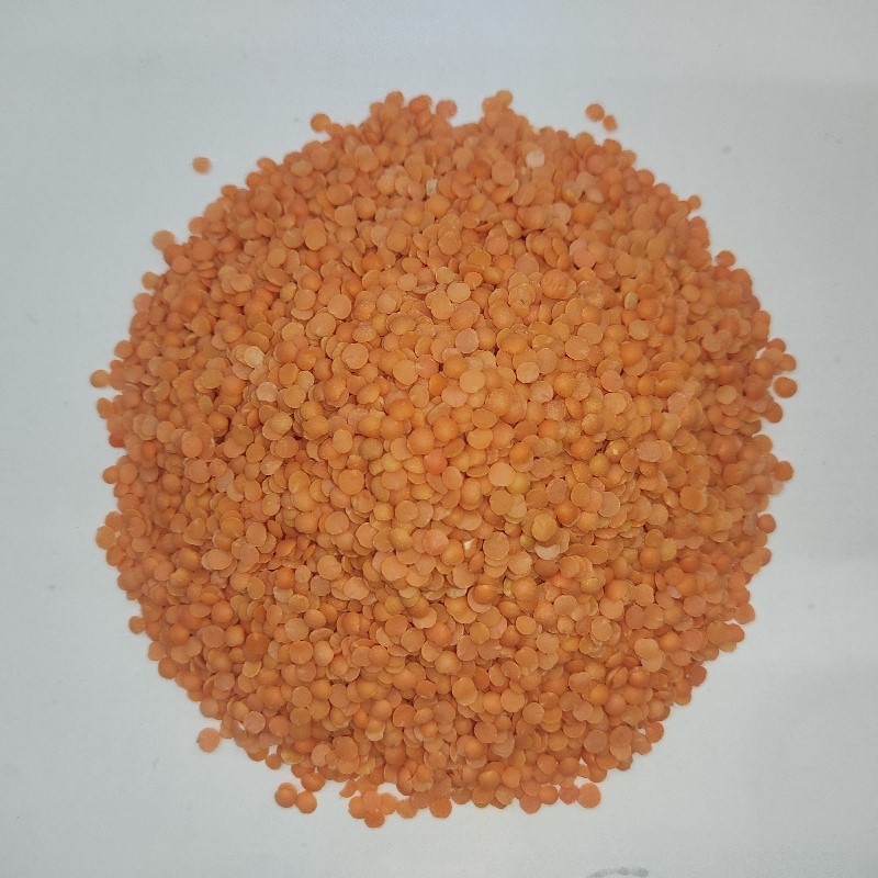 Daal Masoor Desi دیسی دال مسور