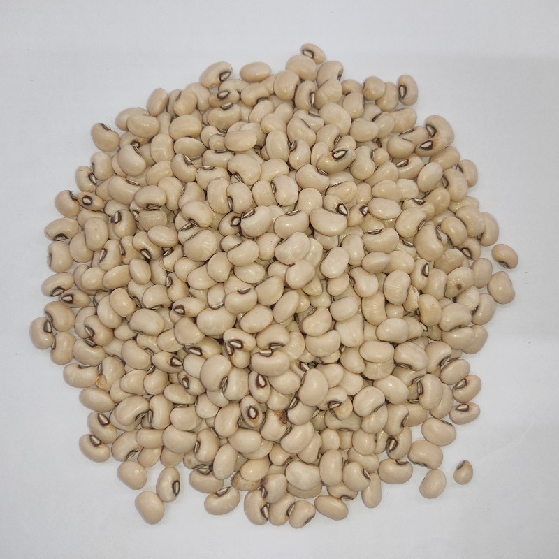 Lobia Sufed سفید لوبیہ Kidney Beans White