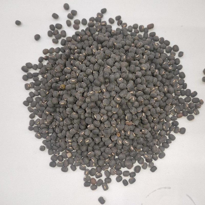 Mash Sabut ثابت ماش