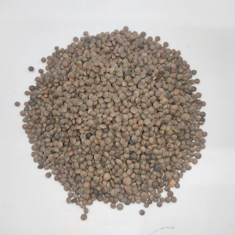 Desi Masar دیسی مسر